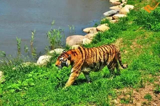 上海站到上海新国际博览中心地铁,上海地铁沿线景点排名