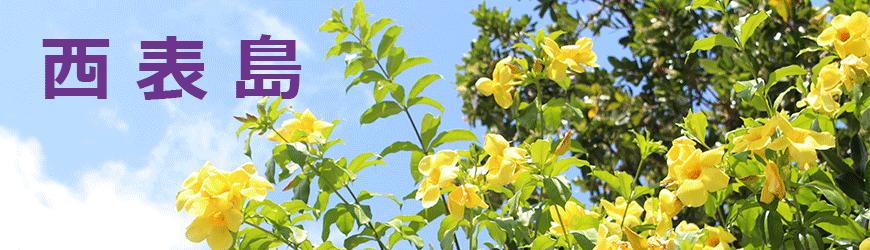 最好的日本冲绳岛旅游攻略,日本西表岛旅游视频