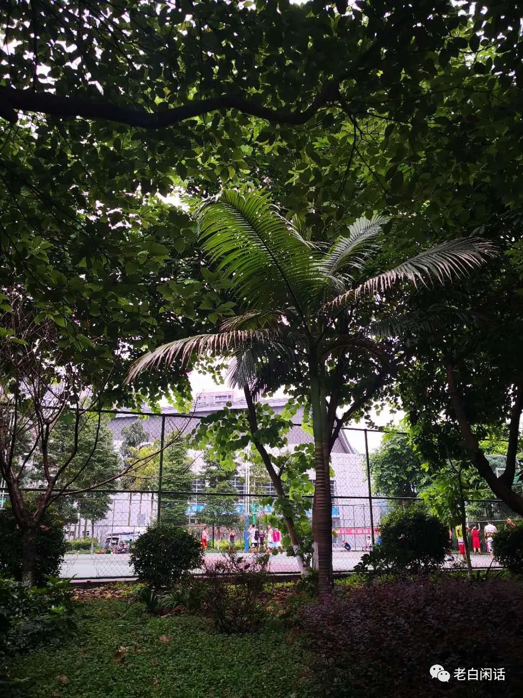 小城故事，平和下的珙县日常可能终我一生也难企及