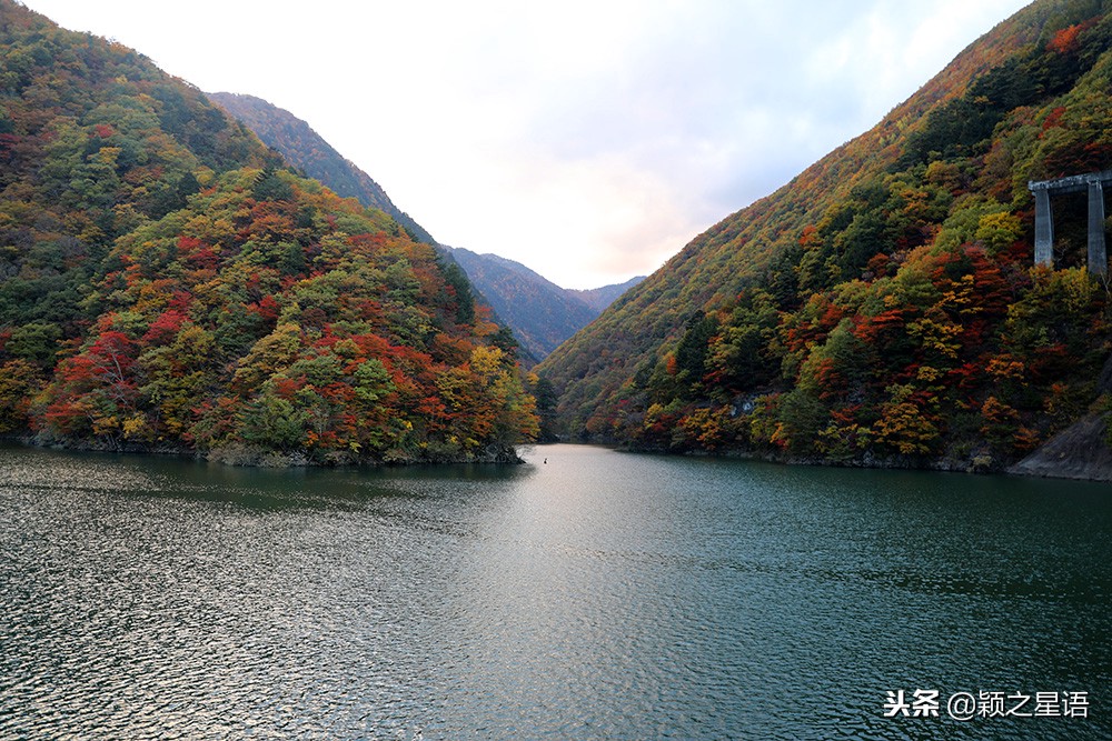 几千块的日本电饭煲,国产锅日本锅