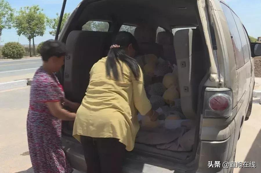 孟津县送庄镇西瓜采摘节,孟津县送庄镇袖珍西瓜