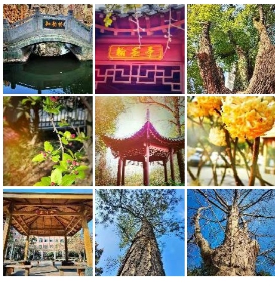 合肥学校里的网红,合肥最牛的初中学校