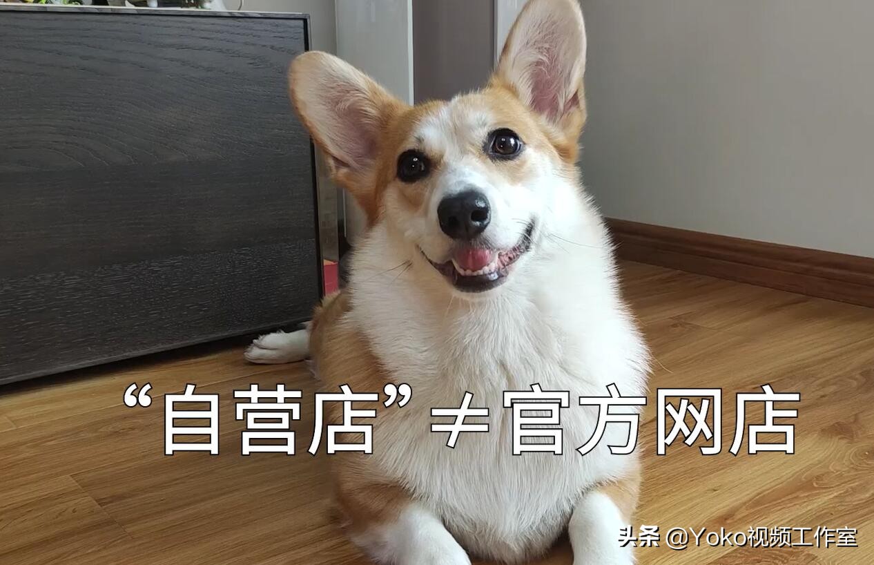 「网购电脑」五条注意事项！拼夕夕百亿补贴靠不靠谱？