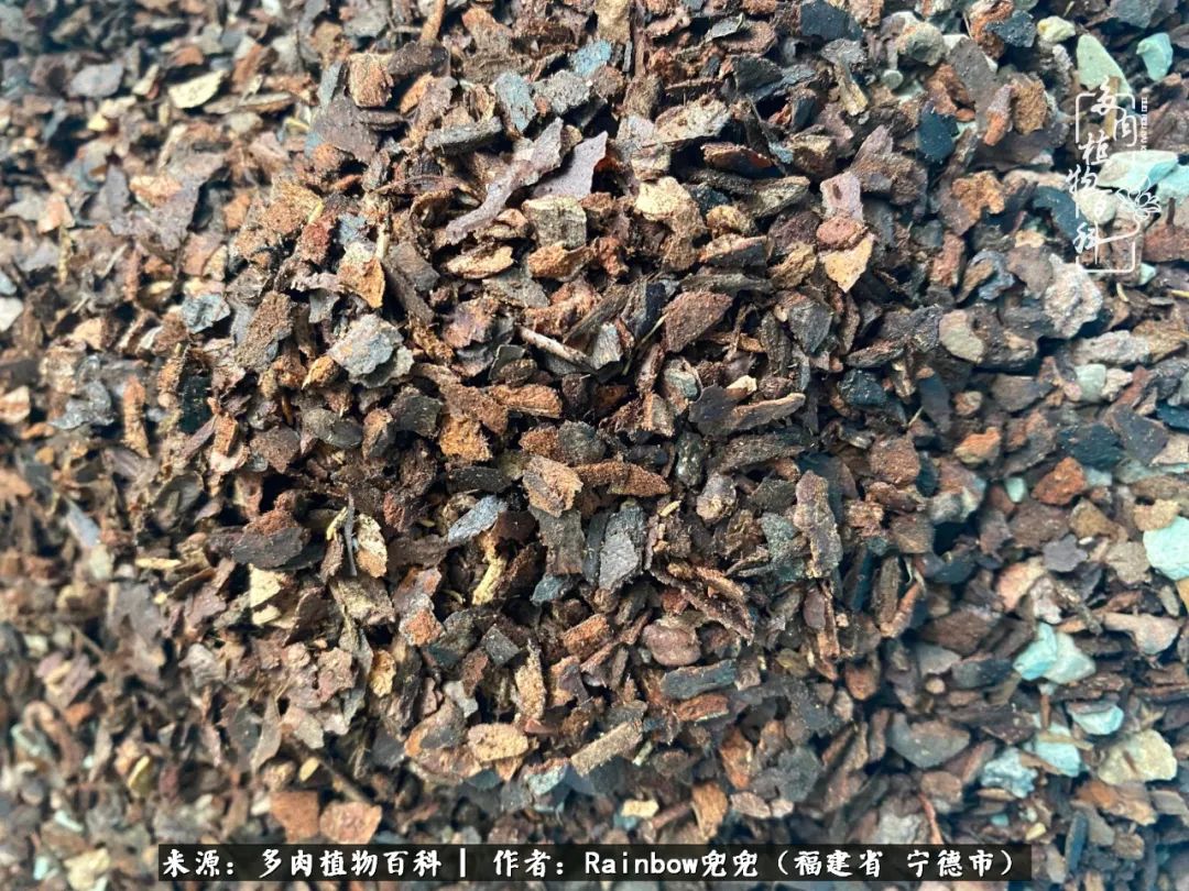 岁月无波澜余生不悲欢是啥意思,愿你岁月无波澜敬我余生无悲欢