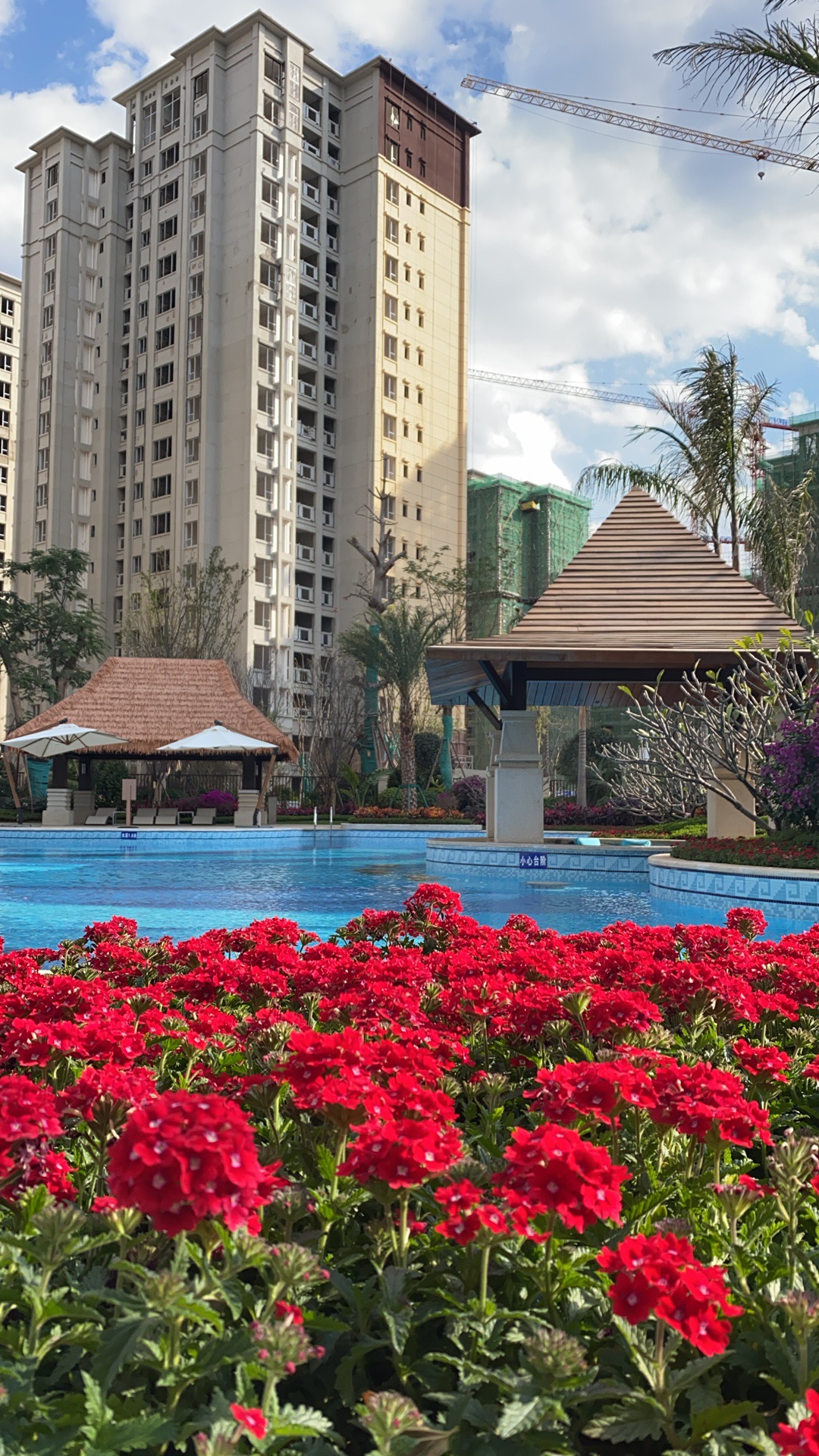 为什么很多人在云南元谋买房,为什么现在越来越多人在云南买房