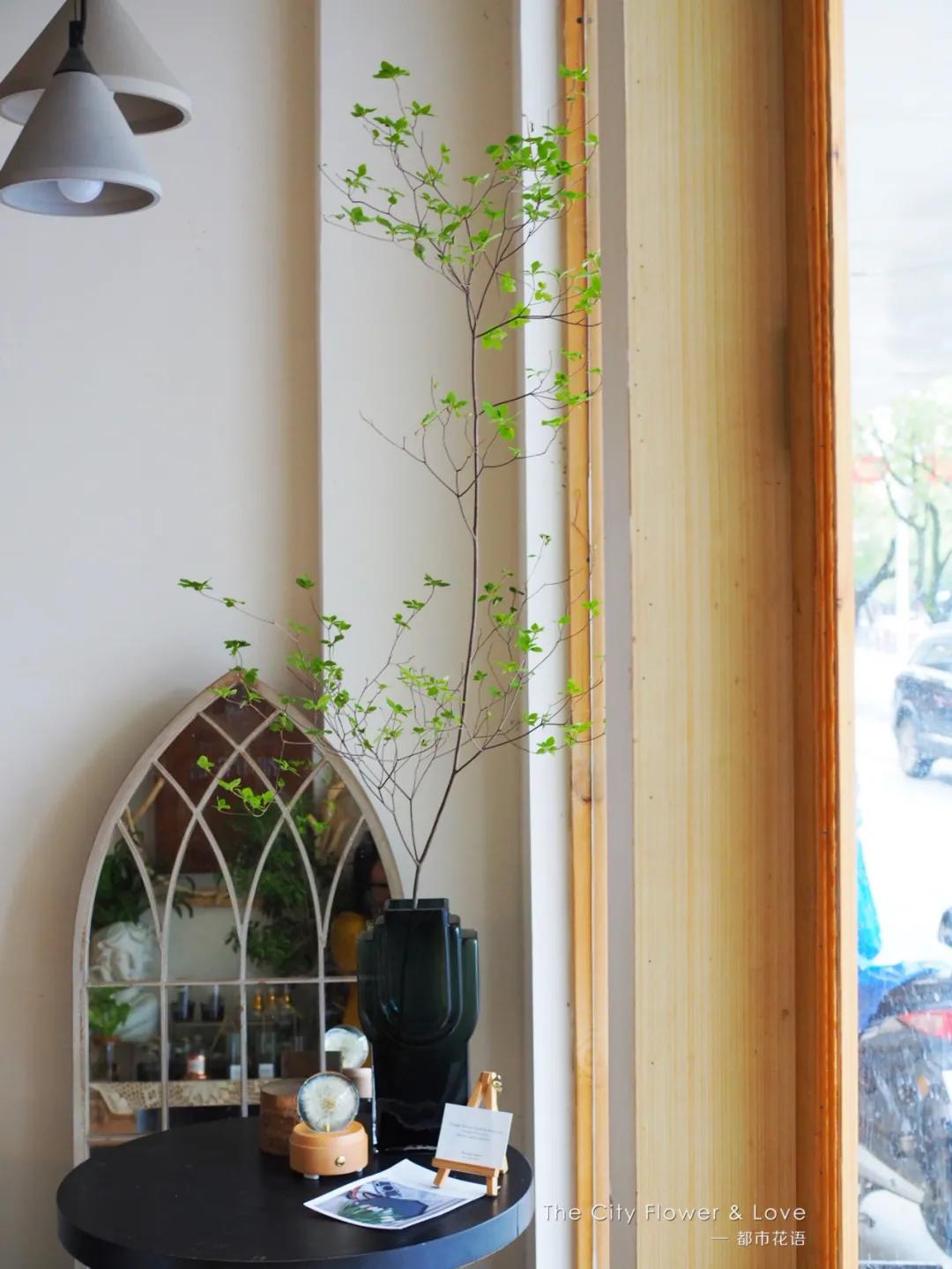 都市花语门票多少钱,都市花语免费阅读