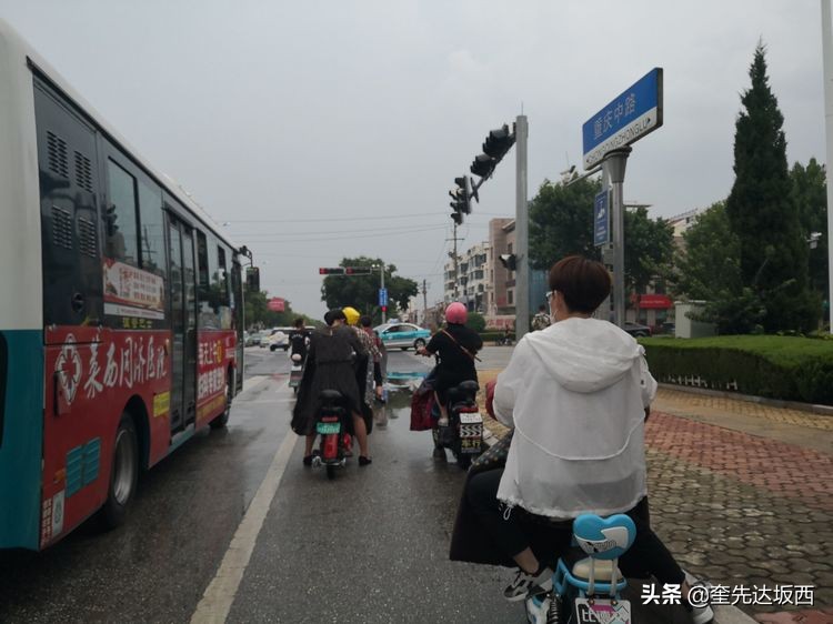 地摊卖瓜记,吃瓜随笔视频