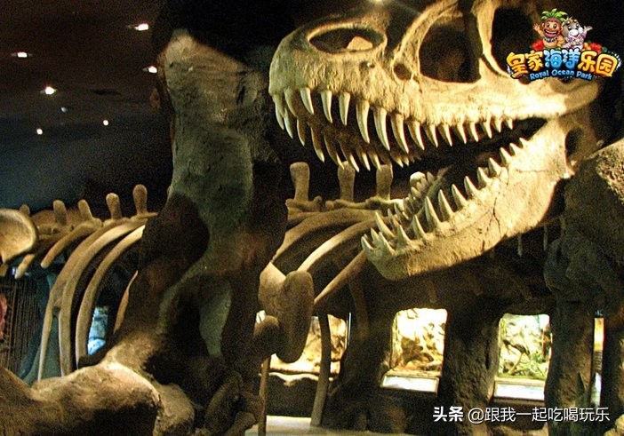 抚顺海洋馆外面有什么,沈阳和抚顺哪个海洋馆比较好