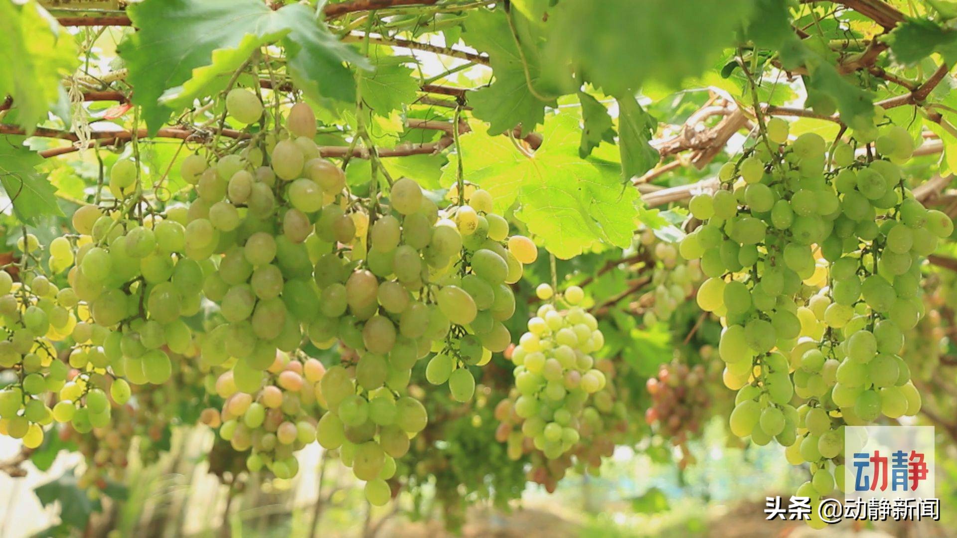 诗不可说,诗不可说什么意思