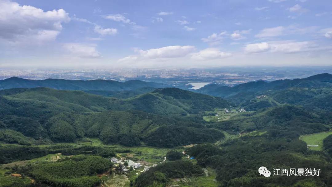 朱虹江西风景独好,朱虹绝代佳人