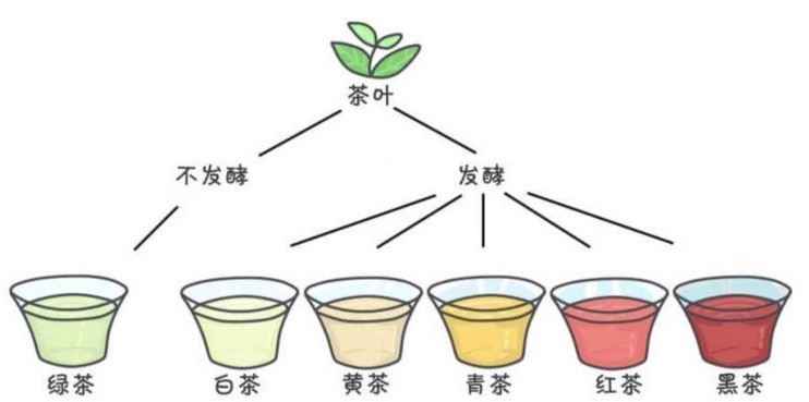 茶的六大分类,茶叶分类及六大茶类的代表茶