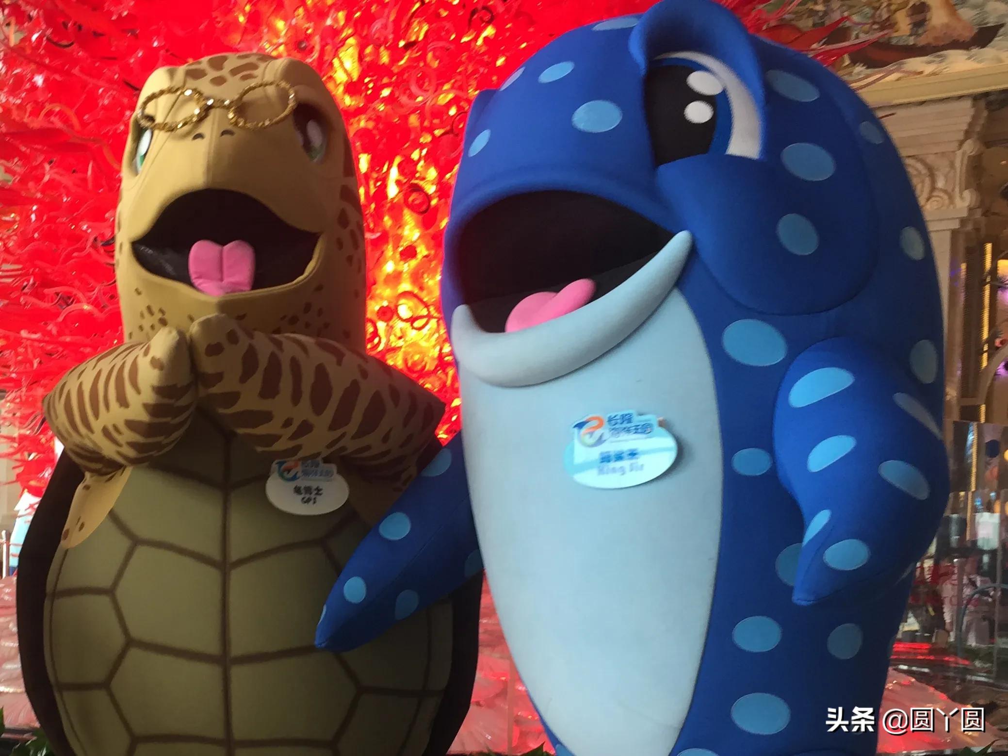 长隆海洋王国和长隆动物园哪个好,广州长隆海洋王国和珠海长隆