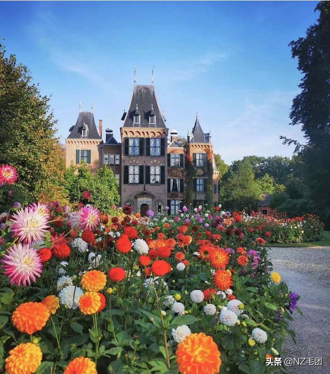 一个鸡蛋变成一座农场，小生意不知不觉也被你做大了