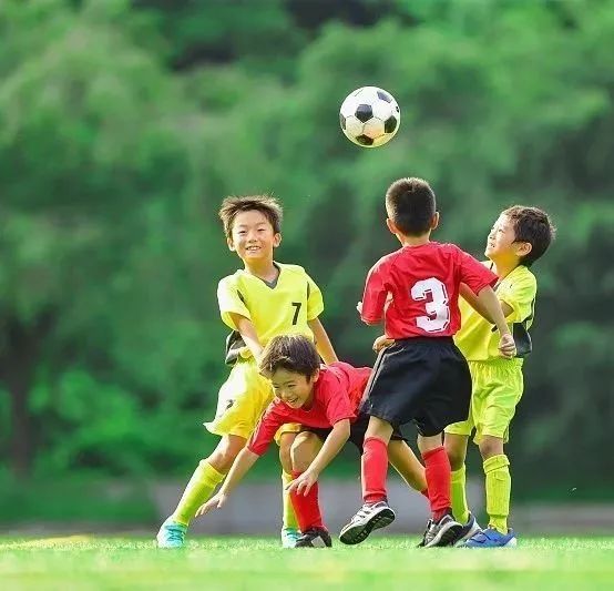 关于运动的绘本,拓宽眼界丰富知识