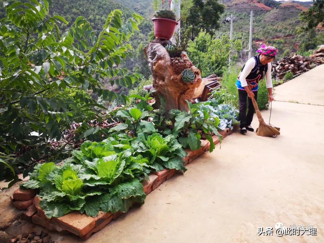 弥渡县这几个村人居环境大评比，结果怎么样？