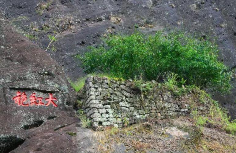 十大名茶之黄山毛峰的起源,黄山毛峰茶和西湖龙井哪个好喝