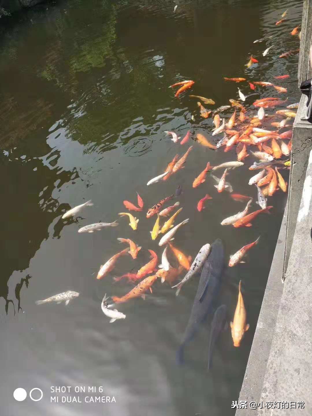 清朝富商胡雪岩故居,清末富商胡雪岩故居