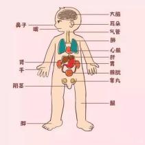 十岁男孩书店里猥亵五岁女童：缺失的性教育