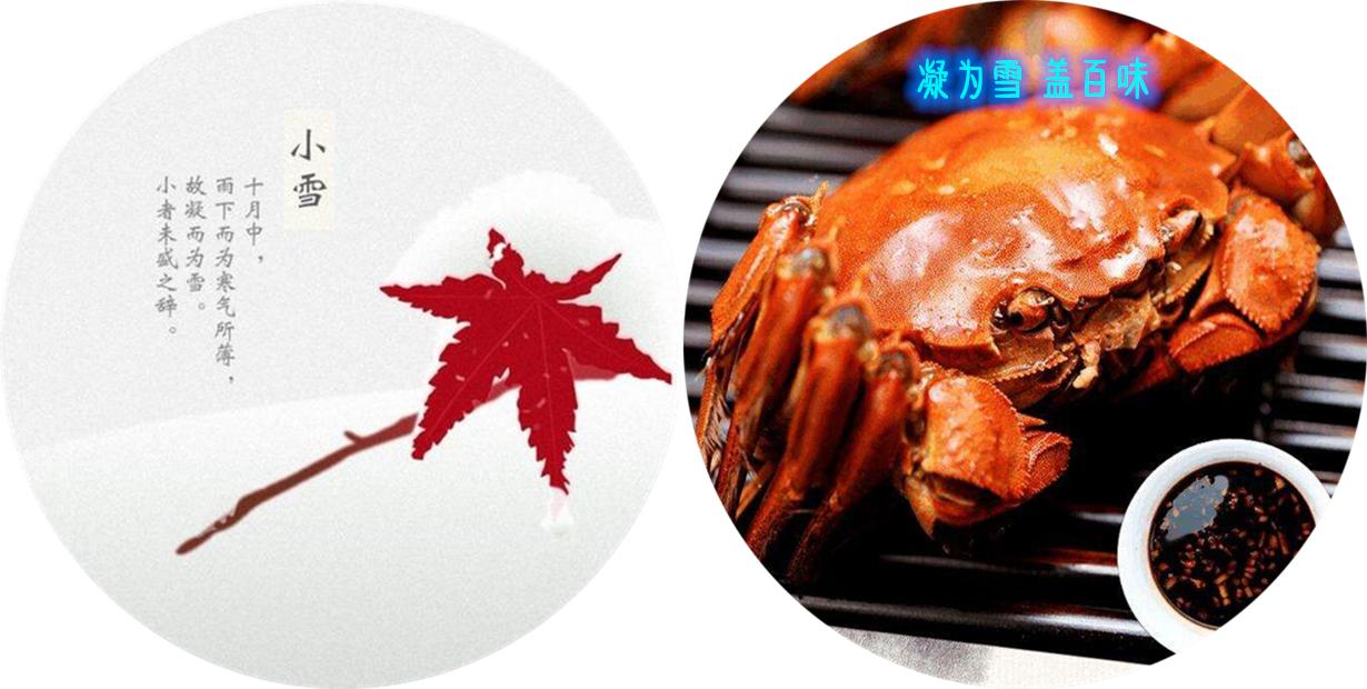 阳澄湖大闸蟹什么时间吃最合适,阳澄湖大闸蟹啥时候吃最好