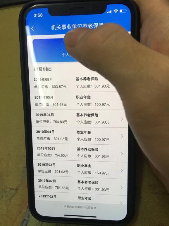六安市养老保险缴费查询,六安养老保险网上缴费平台