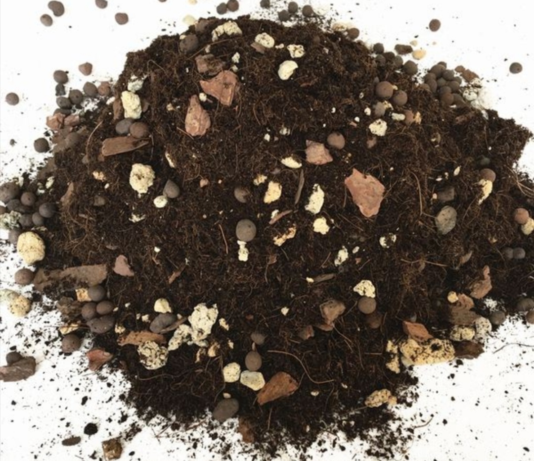 养花的轻质材料,养花积水烂根怎么处理