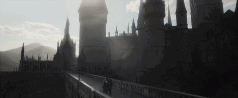 看神奇动物在哪里的视频,神奇动物在哪里观影顺序