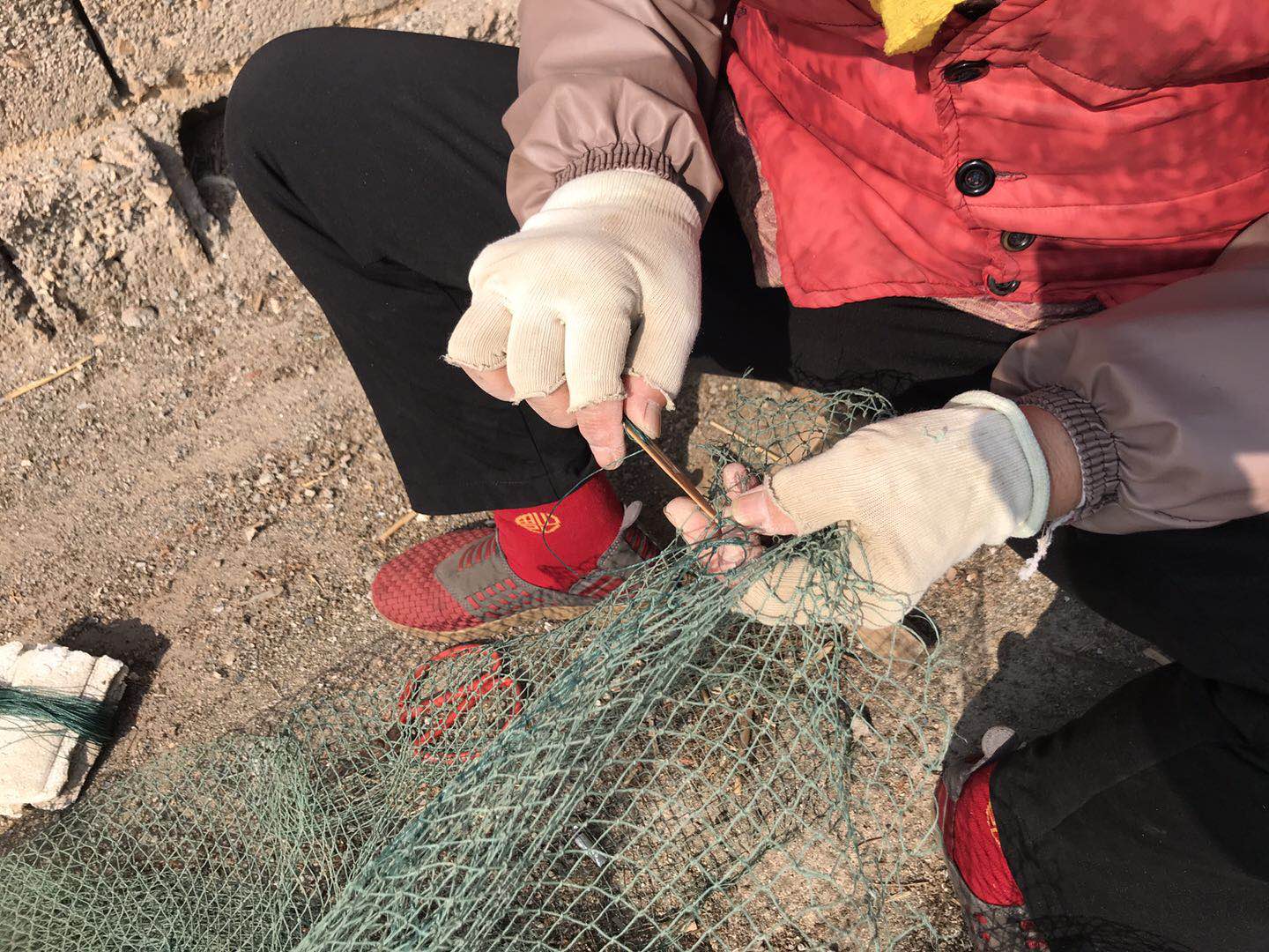 在海边做什么工作赚钱,海边工作也是一种乐趣