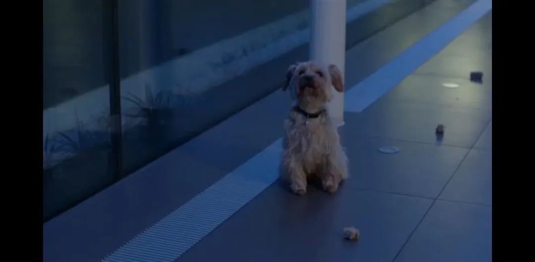 英剧9号秘事全部,英剧9号秘事讲的什么事