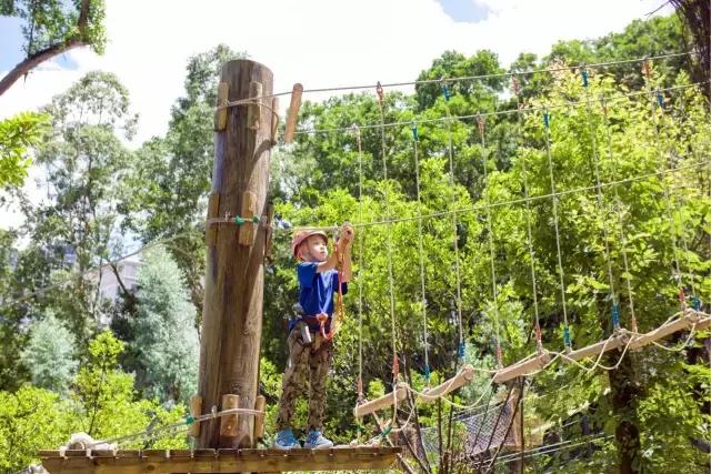 丛林探险乐园门票团购抖音,可拉熊丛林探险营地抖音团购