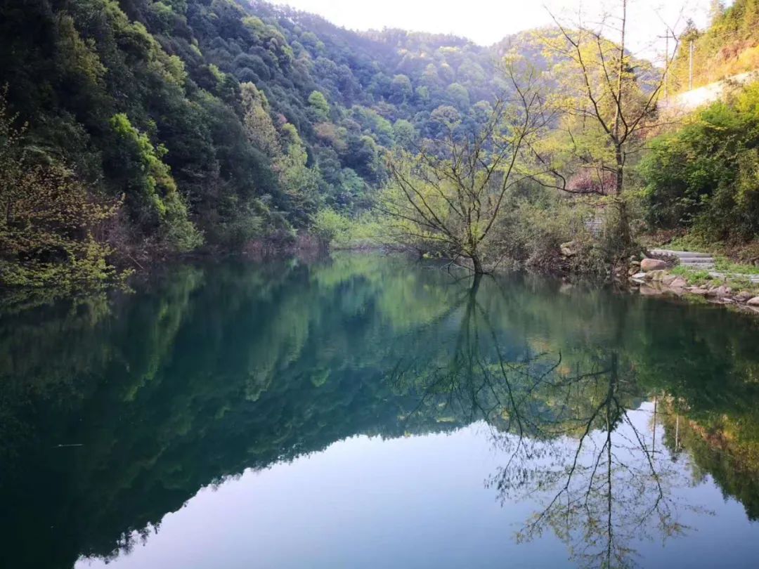池州藏最新原生态避暑地，荷花海石海瀑布禅寺，不知名无门票却美