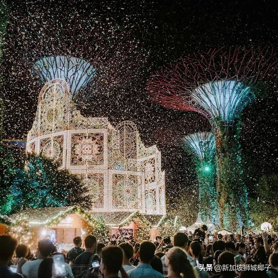 新加坡冻成狗,新加坡狂风暴雨来袭