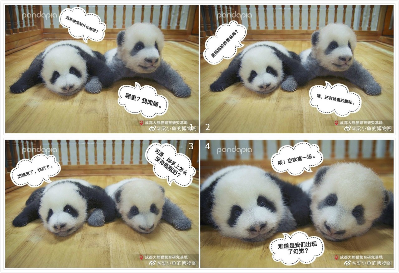 因为你们，“爱豆”的世界离我们不再远咯