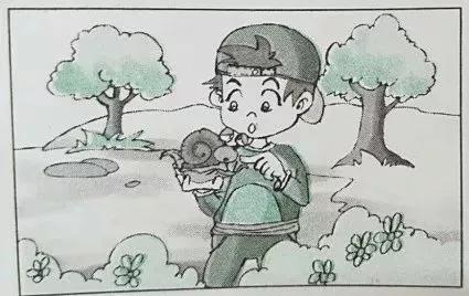 一二年级看图写话100课每日一练,一年级100篇看图写话完整版的图片