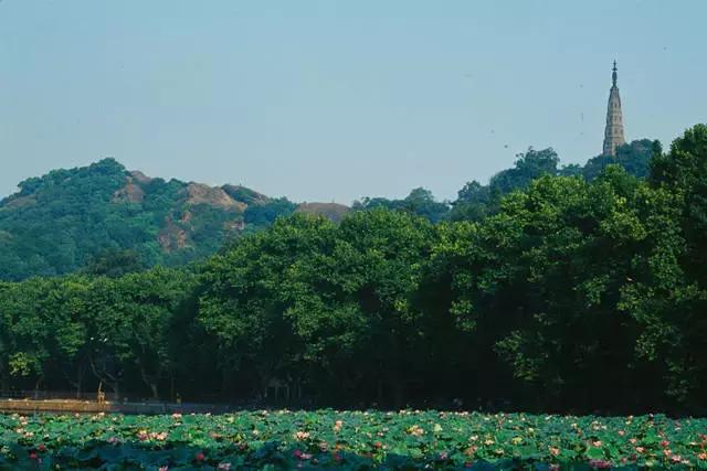 杭州新玩法,杭州人少最值得玩的地方