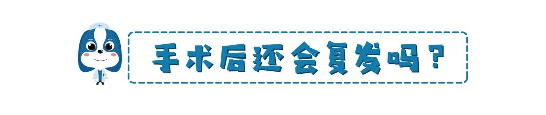 铲屎官请注意什么,铲屎官睫毛