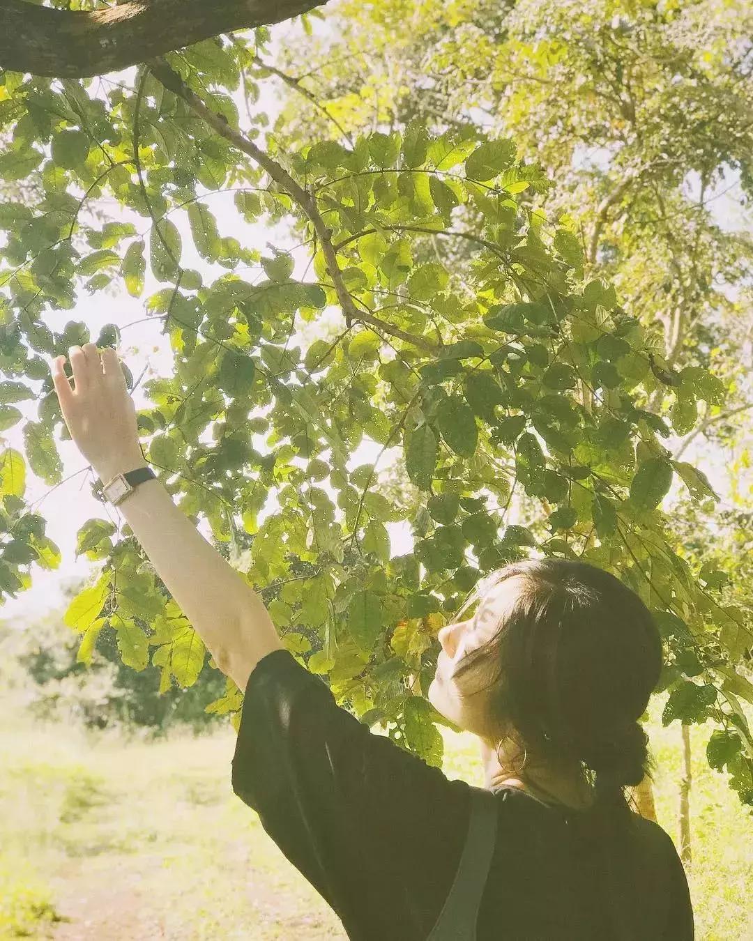 刘雯ins视频完整版,刘雯ins最新消息