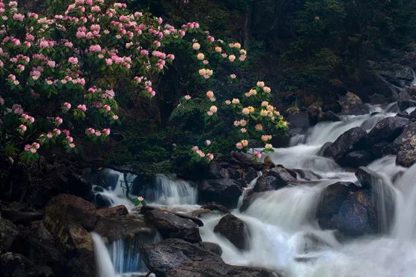 从康定开始一路都是绝美风景,从康定到新都桥景色视频