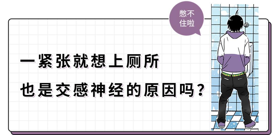 紧张想上厕所是什么原因,考试紧张想上厕所吃什么能缓解