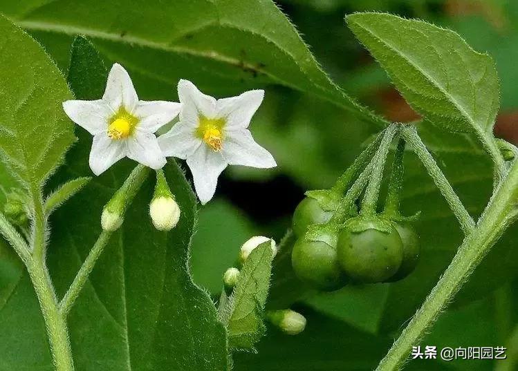 12日美食热点回顾：终极黄油乳化技巧，拯救水油分离