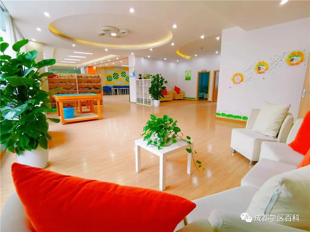 成都四七九小联中,成都四七九中简介