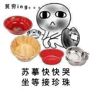 镜双城李易峰陈钰琪云游仙洲之境,李易峰陈钰琪镜双城什么时候上映