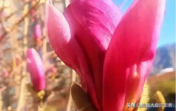 变盘时间窗口推算,时间窗口变盘方法图解