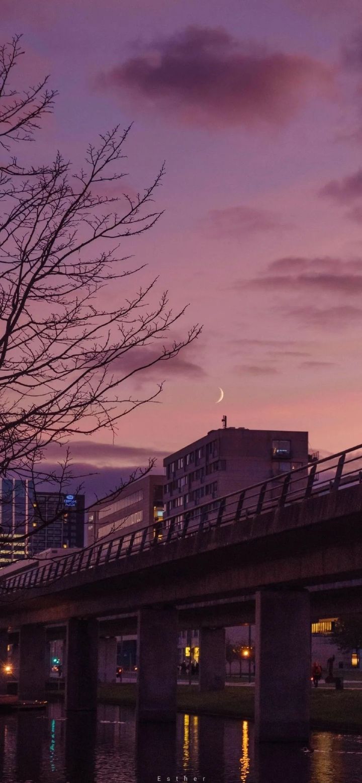 壁纸大全高清手机壁纸,手机壁纸精选高清壁纸