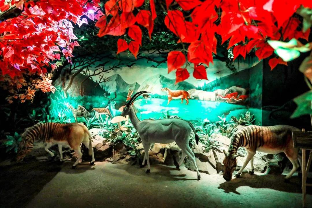 占地30000㎡！这艘建在安华汇天台上的巨船，竟是亲子乐园