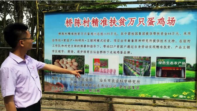 碧桂园乡村振兴项目,在家门口就可以致富创收