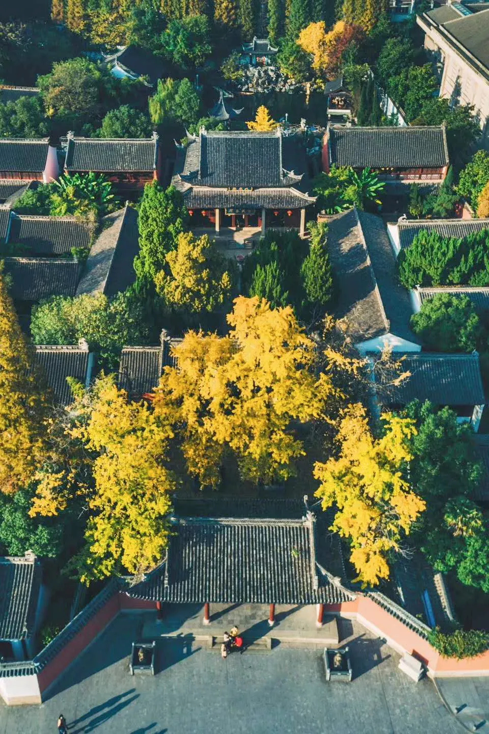 我为什么建议你来北上广深奋斗,衢州旅游推荐地方