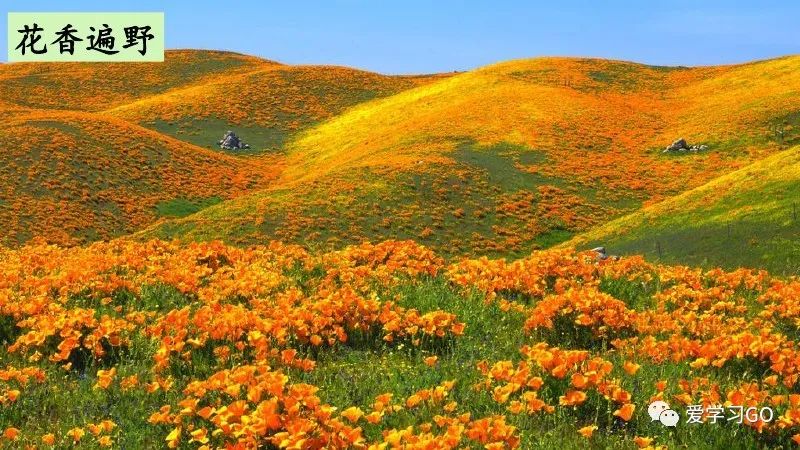 部编版二年级下册第25课《羿射九日》知识点+图文讲解