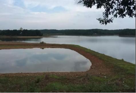 300万投入收获两千万回报，探究蓝招衍如何让农庄脱胎换骨？