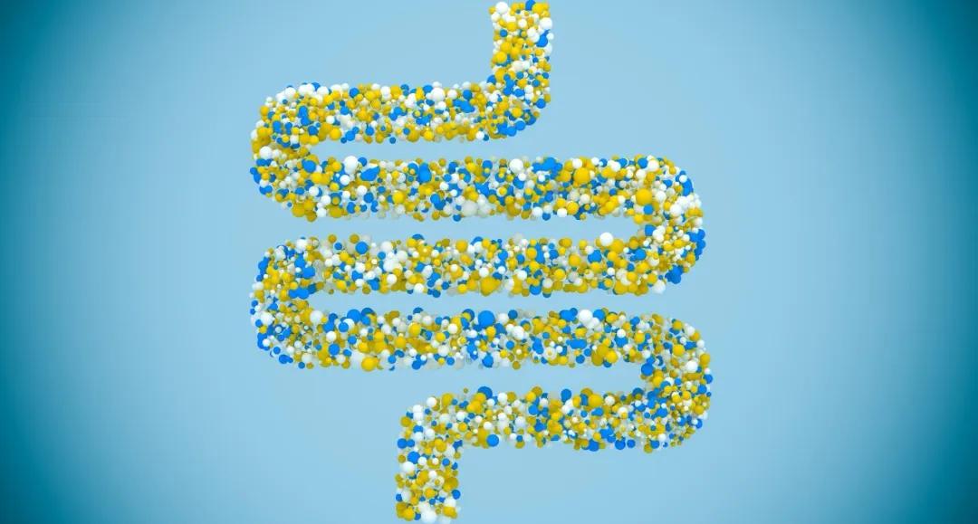 益生菌治疗癌症是真的吗,益生菌与癌症预防