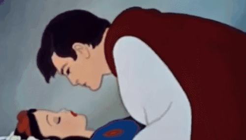 白马踏雪山金正恩座骑大有来头｜除了帅气人类为何钟情白马？